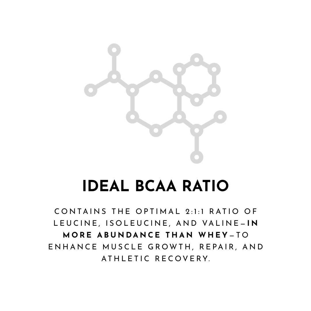 STACKD Protein Blend